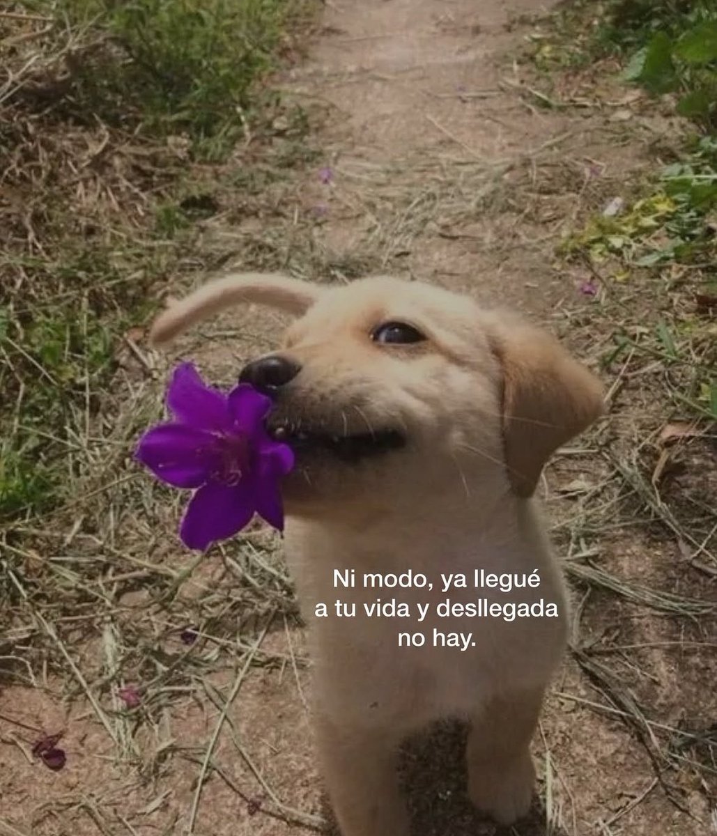 Pensamientos (@frasesimple) on Twitter photo 