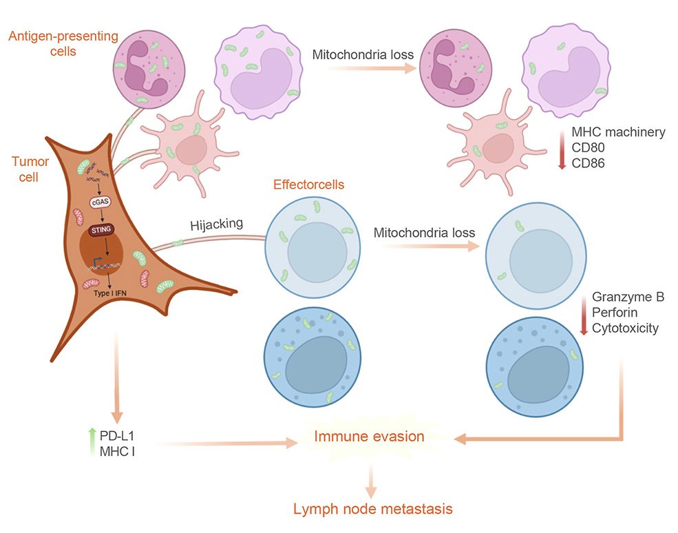Awesomics tweet media