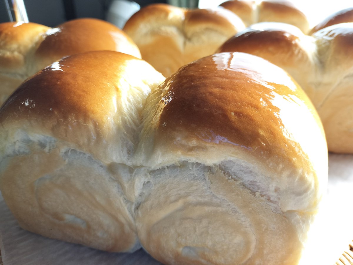 akebono_ippondo's tweet photo. おはようございます☀

個人的に大好きな「みるく塩バターロール🥐」
ちょっと粉の配合変えて見ました！
わかるかなぁ〜😏

よろしかったら是非！

本日も皆様のご来店お待ちしております😊
Open:10:00（パンは11時〜）
close:18:00
#一本堂
#つつみ屋
#石巻
#ベーカリー
#だんご
#麻辣湯🌶️ https://t.co/KM7ddxgTEy