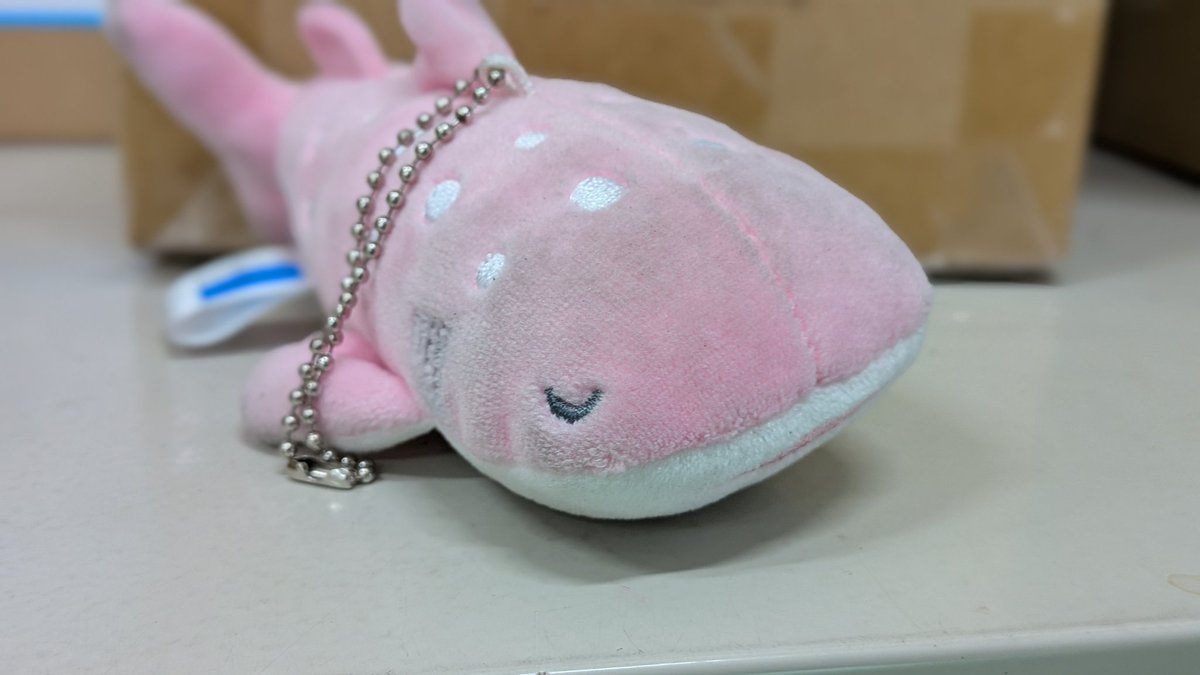 なんてったって、あんず。 (@anzu0119sasamin) / Posts / X