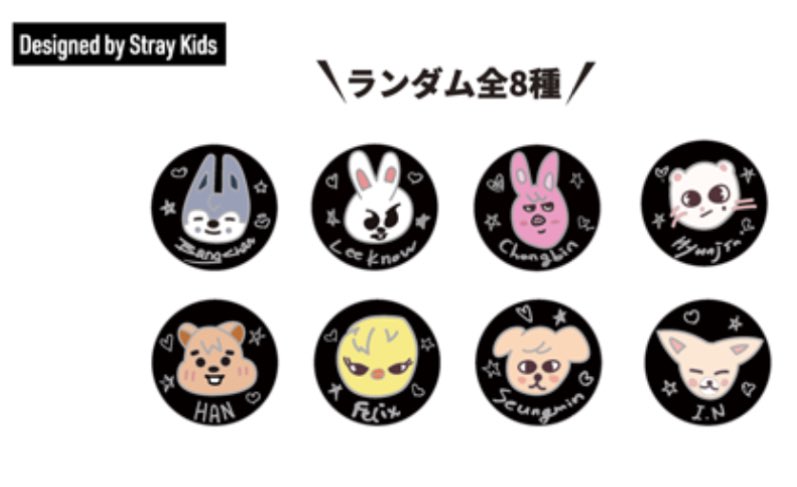 “designed by Stray Kids” 😭