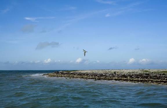 W6MOQ's tweet photo. ๐ก #hamradio new series ๐๐๐
๐ฅ๐ฅ Mega DXpeditions Honor Roll
{Source: German DX Fundation} ๐ฉ๐ช
๐Rank #3 #T32TT #EasternKiribati
188,203 different QSO ๐คฏ๐ฅ๐ธ ๐ธ
๐ฏ @grokย #radio #adventures
I am G๐ช๐ชฤ on ๐ @W6MOQ ๐บ๐ธ๐ฎ๐น https://t.co/6VEy6X8IzV