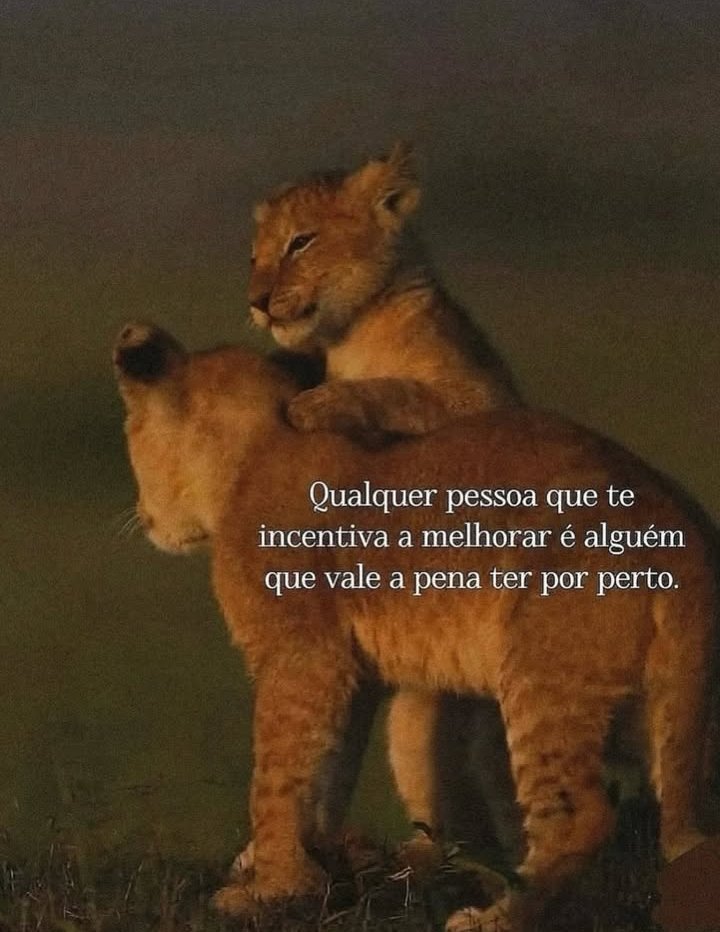 teu caos (@sobreteucaos) on Twitter photo 