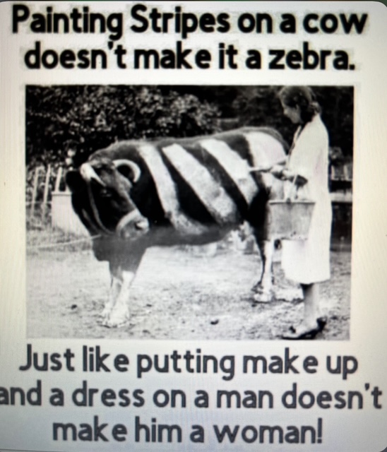 BB2021LV's tweet image. What about the dick???