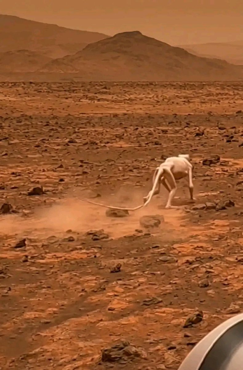 Science And Nature tweet media