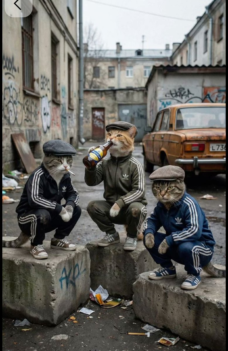 Poporonhell's tweet image. #待ち受け画像を晒す
😼🍻🍺😼🚬😼🤙)）