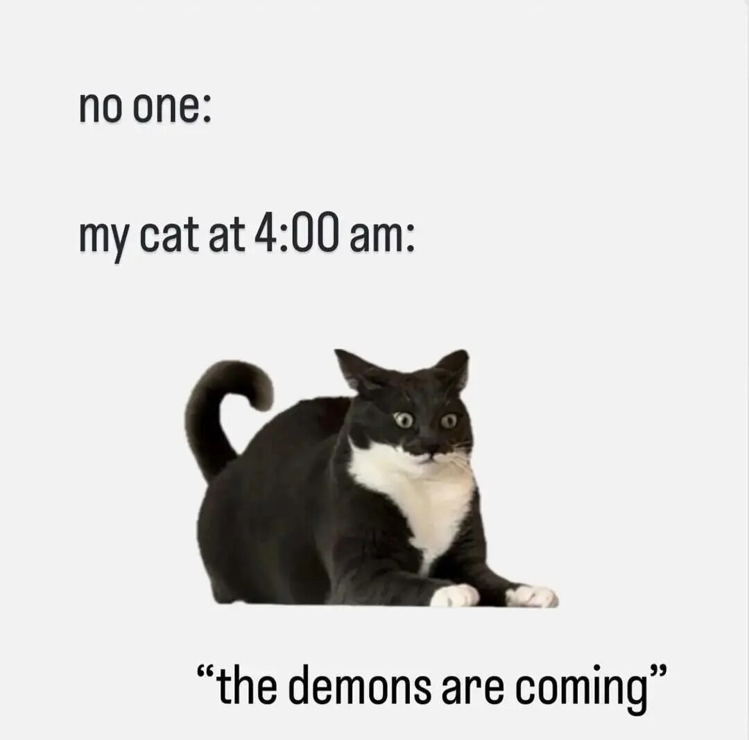 WholesomeMemes tweet media