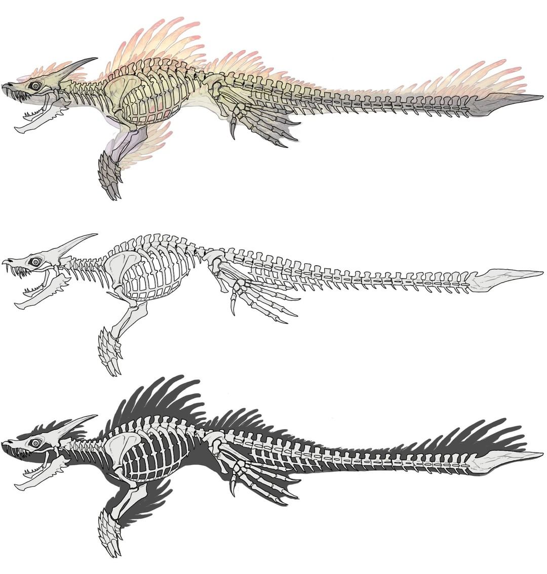 -Paleonyx- (COMMISSIONS OPEN)- tweet media