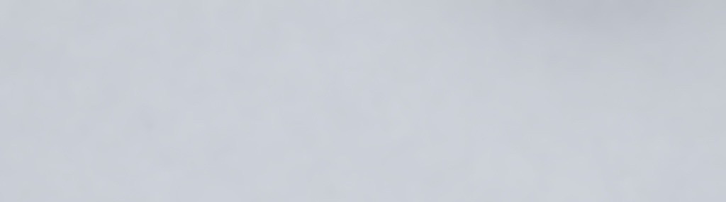 albert12798's tweet image. Tap the post for a BIG surprise