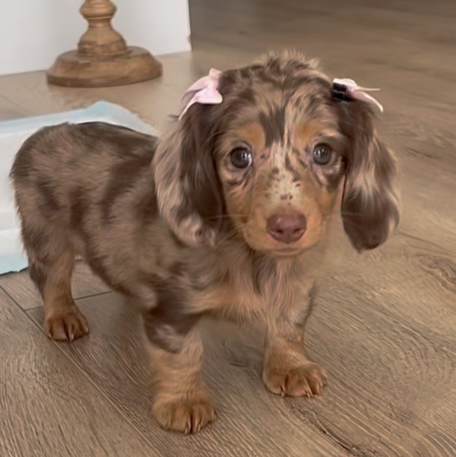 อ๋าาาา ก็ว่า คุ้นๆ