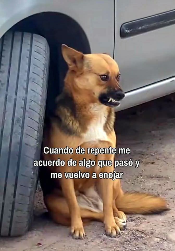 Lonely🥀 (@angelo_uf) on Twitter photo 