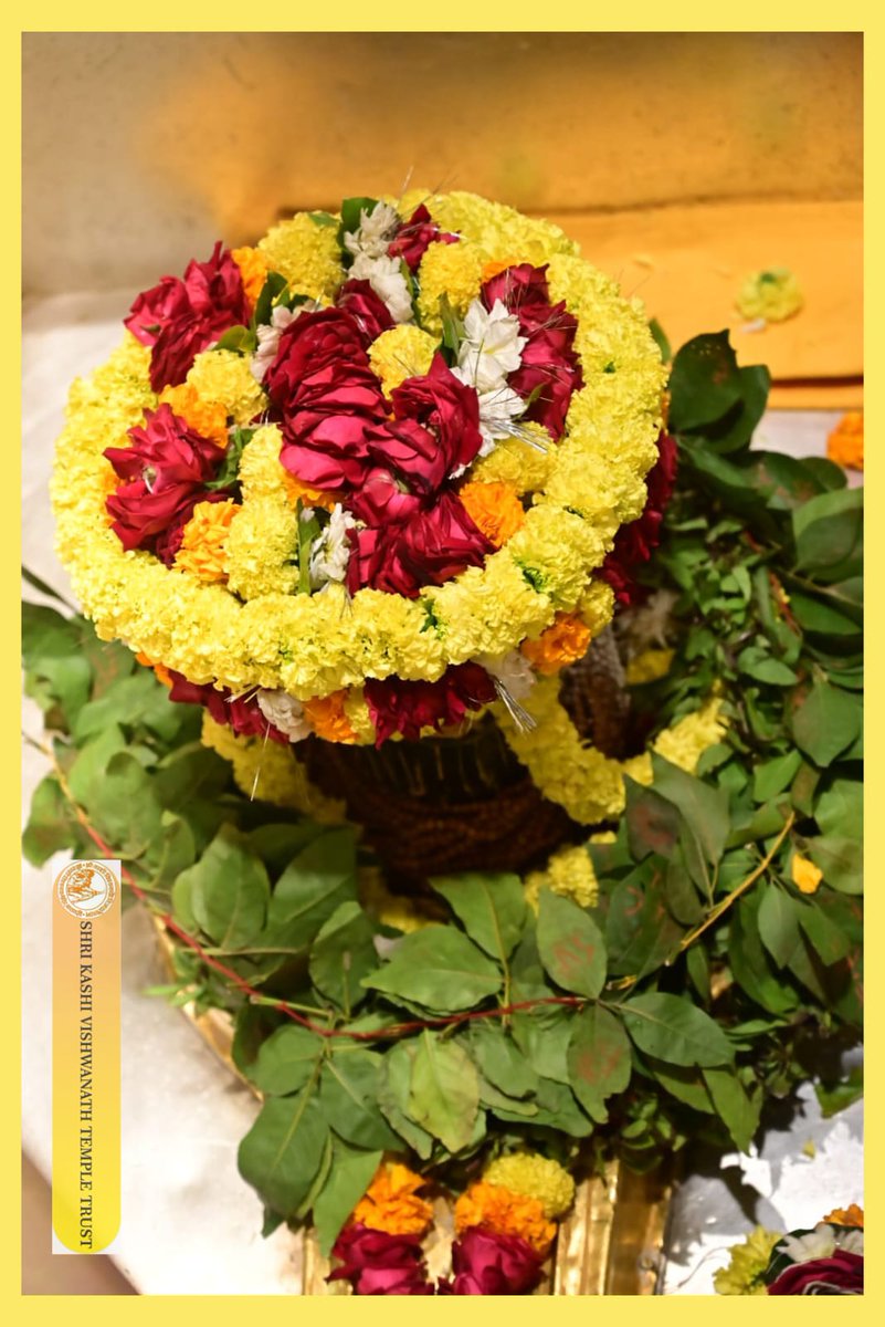 श्री काशी विश्वनाथ जी की मंगला आरती I
#kashivishwanath #kashi #sanatandharma #banaras