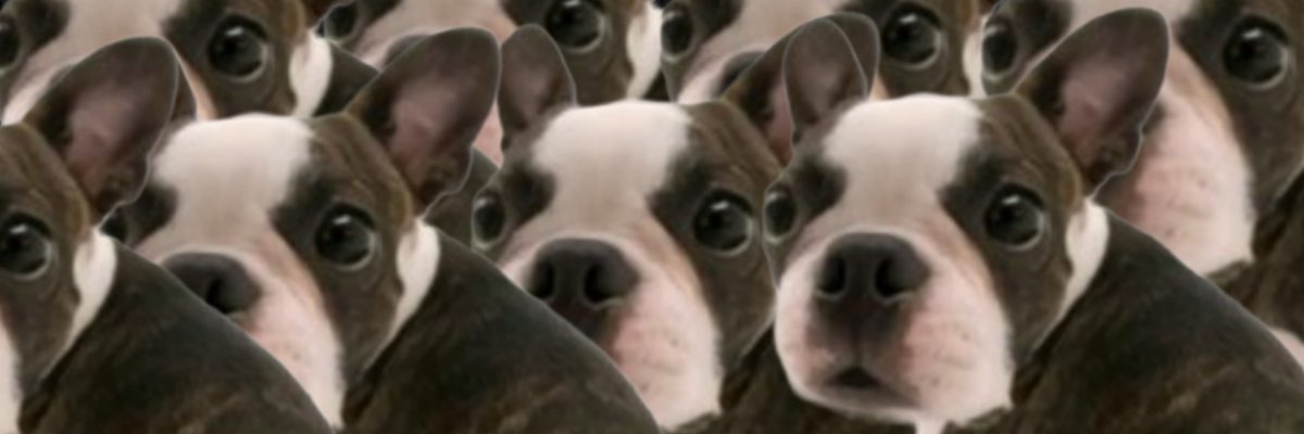 igor unesp bananilson farofa da silva tweet media