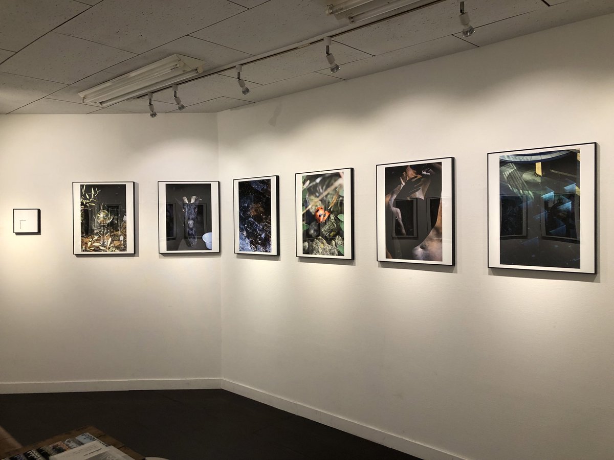 InfoJunktion's tweet image. サードディストリクトギャラリーでは浜田泰介写真展「polkadot」が、1月25日（日）まで会期中無休で開催中です。
好評撮り下ろしシリーズの8回目、併せて展示作品を収録した最新の同題冊子も同時刊行。
是非ご覧ください。
3rddg.com