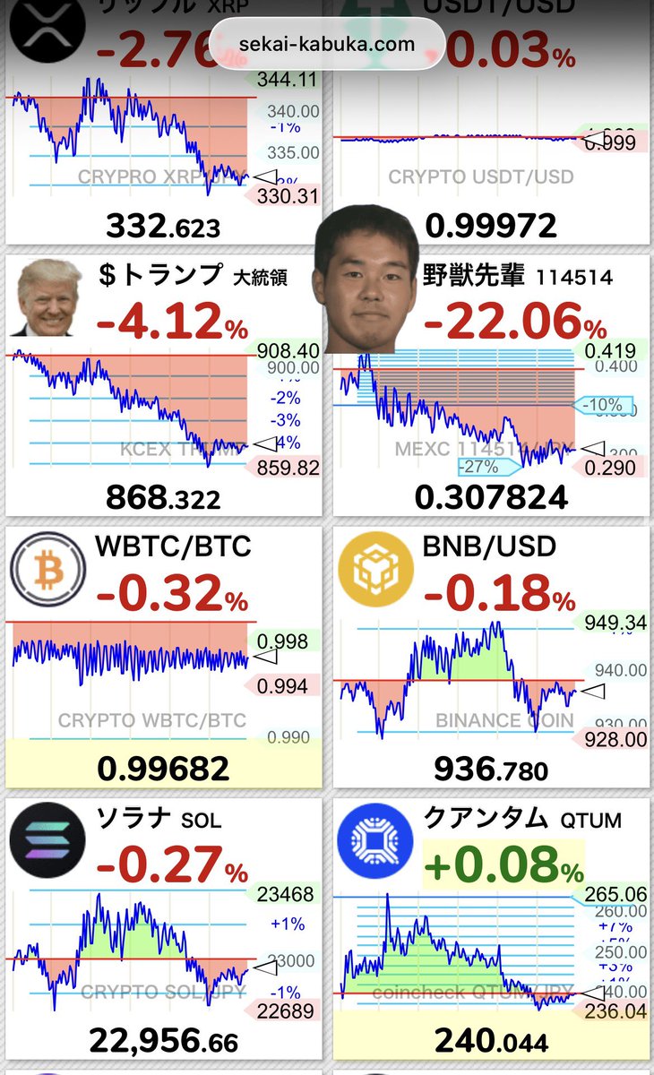 世界の株価、仮想通貨の某銘柄だけ規定外の大きさなの、何とかなりませんかね…