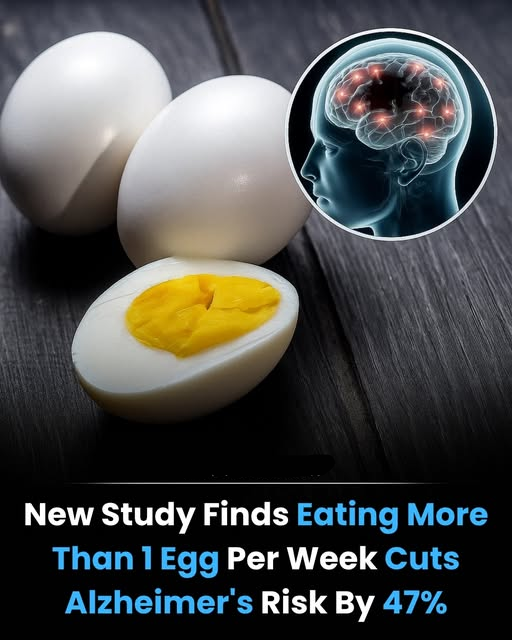 週に1個以上の卵を食べるだけで、アルツハイマー病のリスクが47%も減少するという衝撃的な研究結果が出ました。

卵に豊富に含まれるコリンが記憶や学習に関わる神経伝達物質「アセチルコリン」の生成を直接助けることで実現します。
