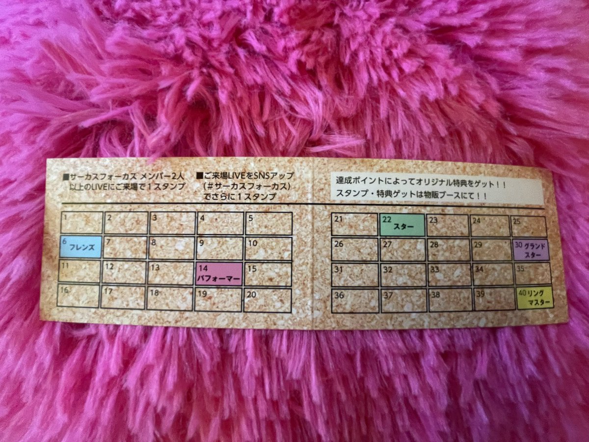 サーカスフォーカス tweet media