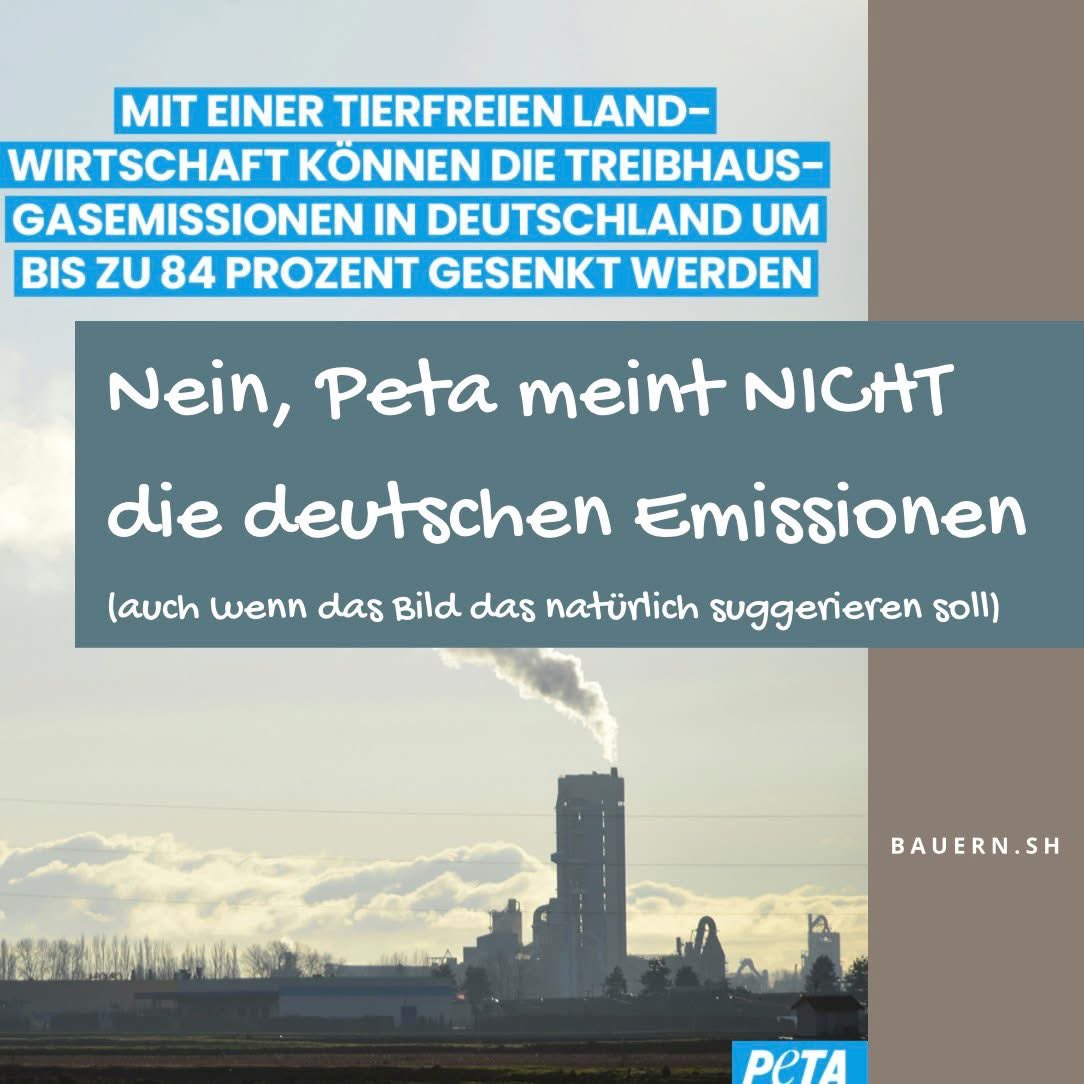 Bauern.SH tweet media