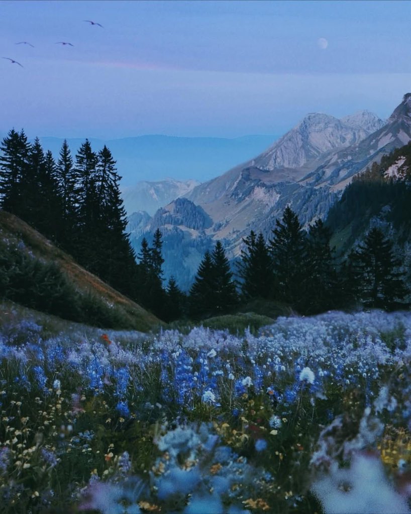 seraphicxc's tweet image. 