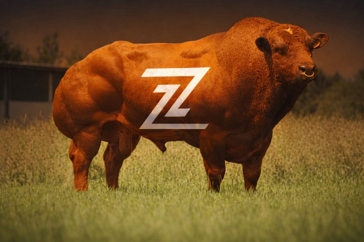 GM twitter people

If you’re bullish on <a href="/Zetarium_/">Zetarium</a> let’s connect

Comment #Zetarium_ and I’ll follow you 

BM to everyone baseposting today 
<a href="/_technotainment/">Technotainment</a>