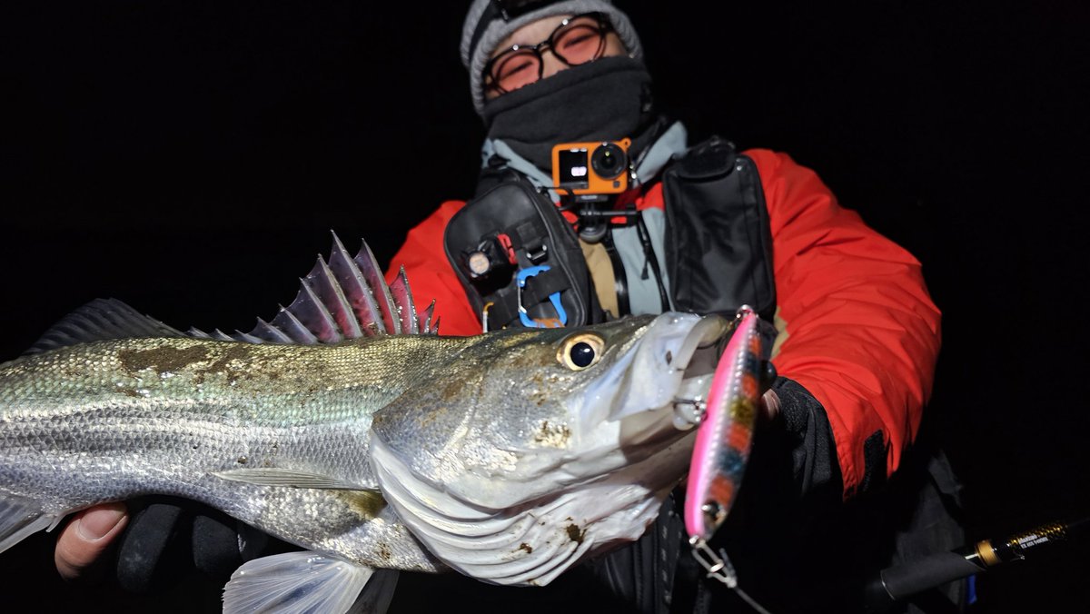 中馬貴寛 tweet media