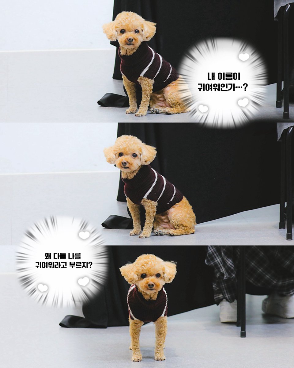 아가가보고싶으면 어디로가야하죠