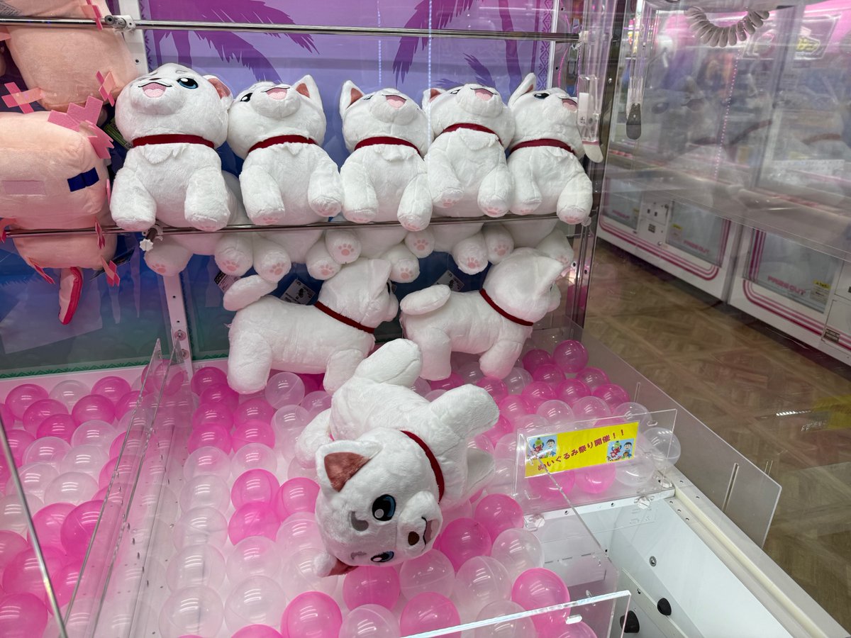 🌟新景品入荷🌟 銀魂 定春 ぬいぐるみ サンリオ ハローキティ