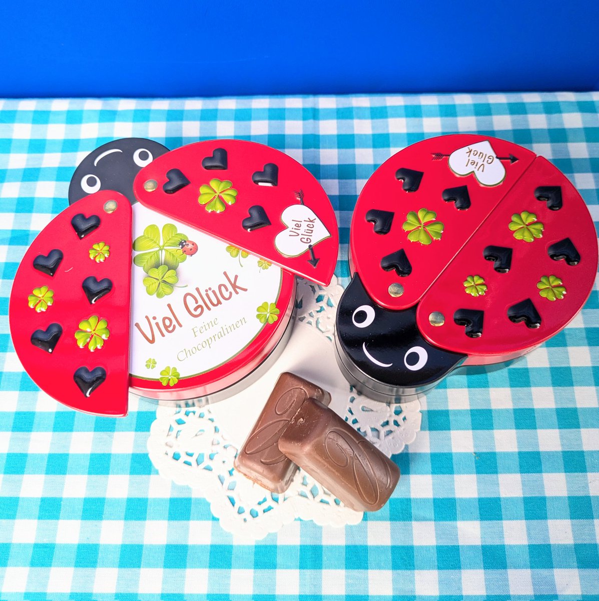 広がる羽の仕様もユニークな パッと明るい赤色の てんとう虫さん