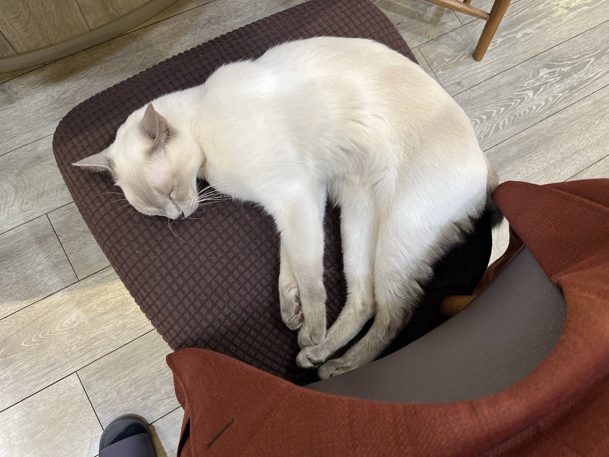 みけねこ (@mikeneko_jinro) / Posts / X