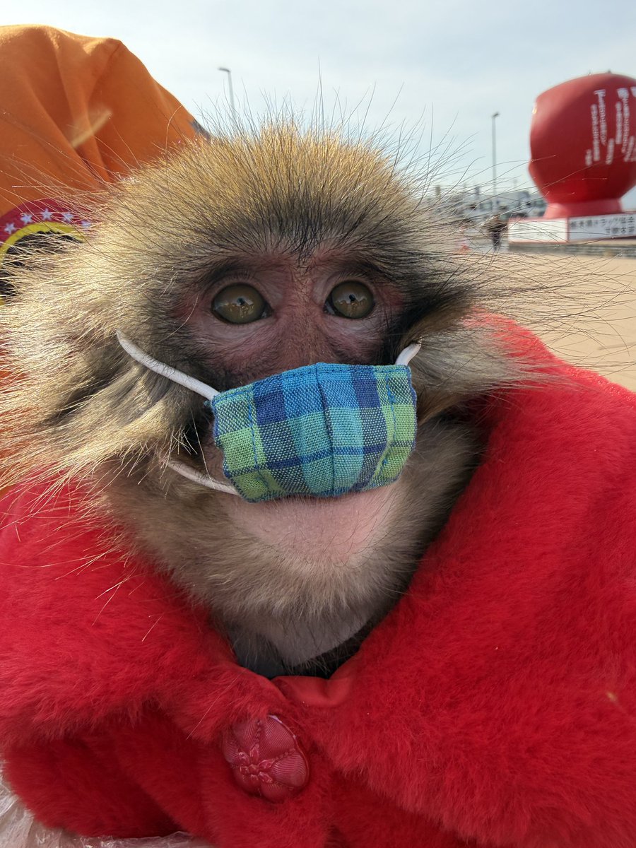 利美トレーナー tweet media