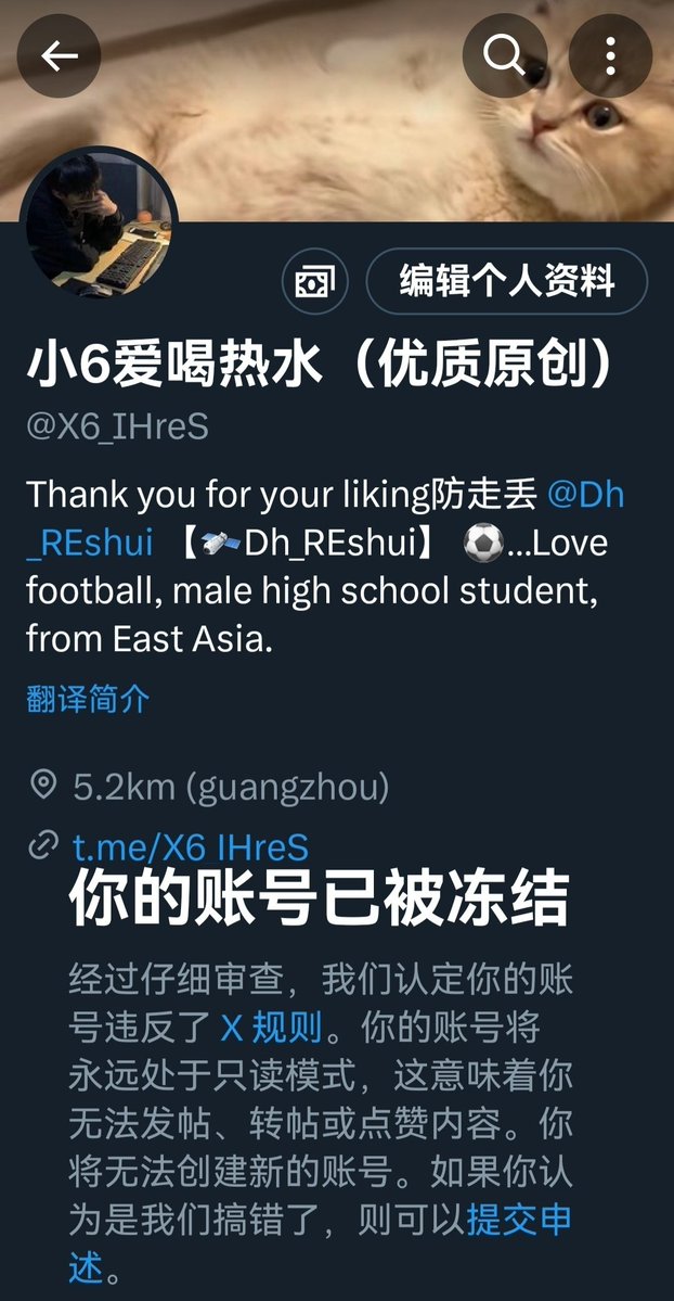 为什么X的账号，总是会莫名其妙的被永久冻结！求解？