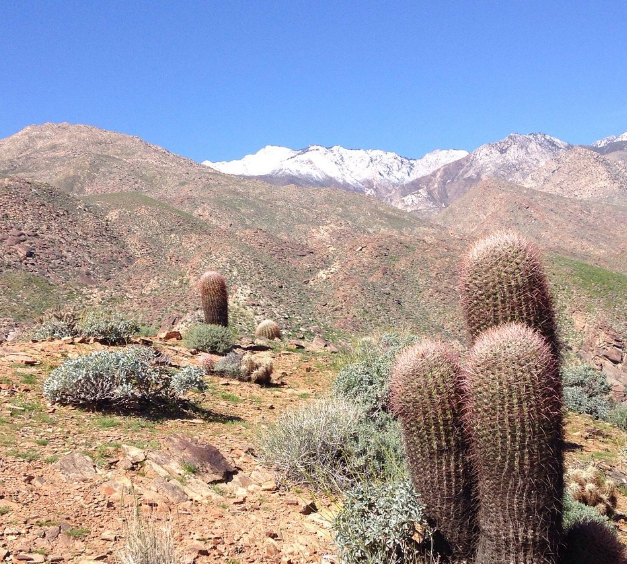 sdtmanager's tweet image. Vaut le détour c'est authentique et mérite à eux seul la visite à la riche et mativu Palm ! Attention on doit parfois traverser des ruisseaux sur des troncs faut savoir !