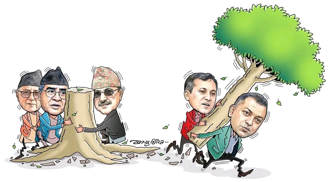 गज्जब तरिकाले बाढिएछ रुख।