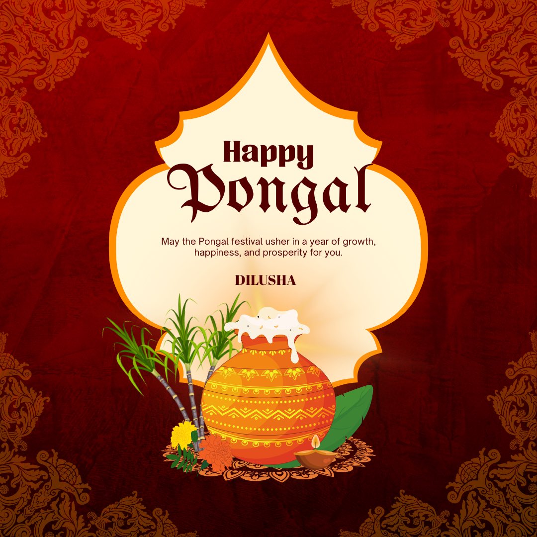 Equity with Dilu tweet media