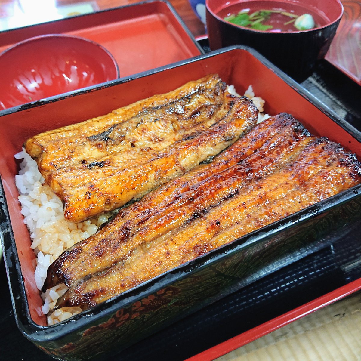 🌲🌊Synシン🍙🍷🍺 (@SNZinakamono) / Posts / X