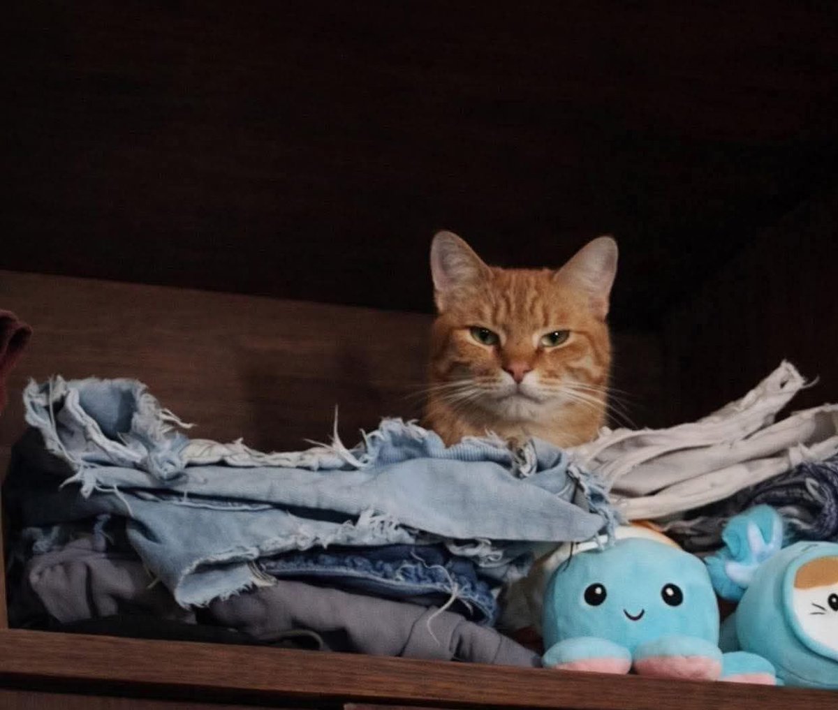 La única mirada de desprecio que estoy dispuesto a soportar…