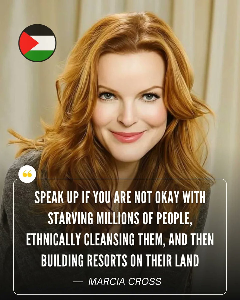 Malcolm_Pal9's tweet image. Agree!