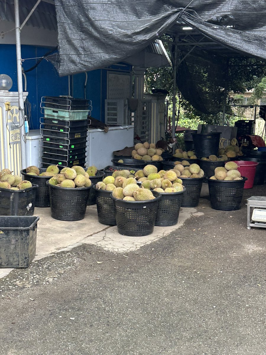 Not every open door is meant to be walked through. Some are tests.

We’re told that success comes from being everywhere. Every event. Every chat. Every “let’s keep in touch.”

What no one tells you is that constant availability quietly kills authority.

I did a hard audit on