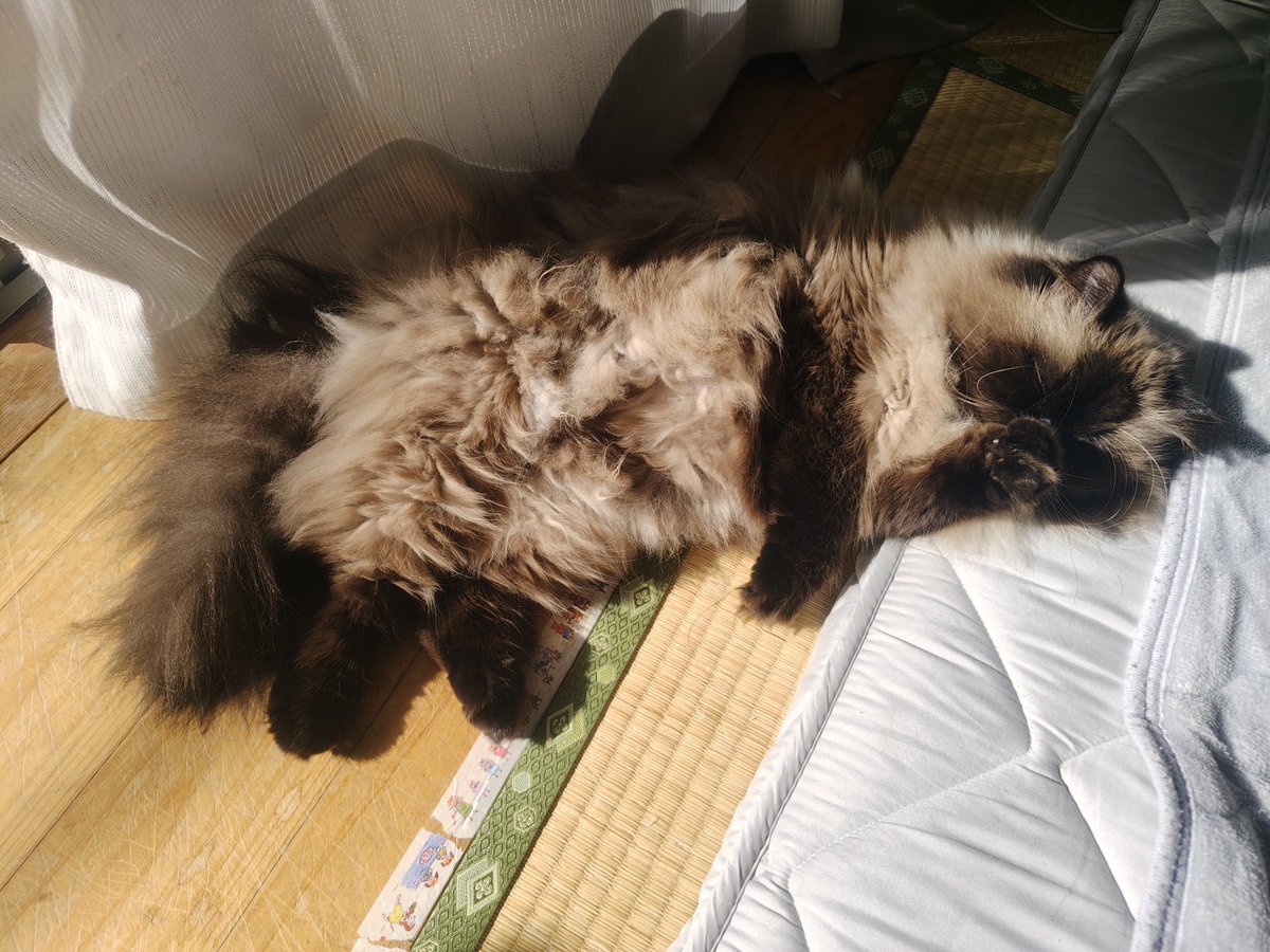 むぎ (@Mugi_is_No1) / Posts / X