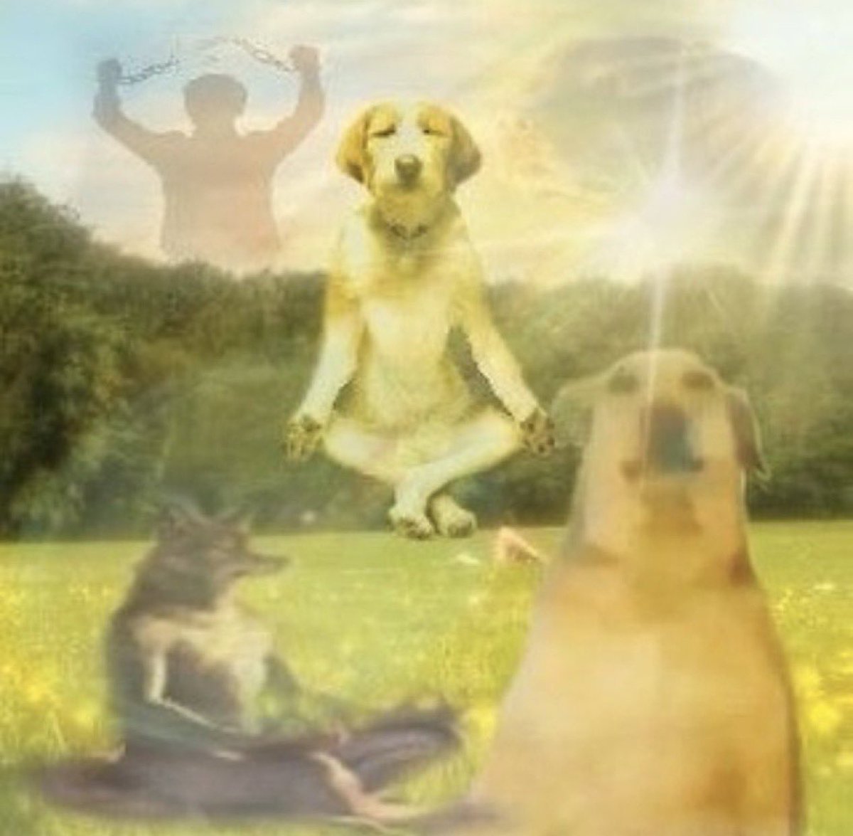 intentando mantener la calma para no mandar a todos a la mierda