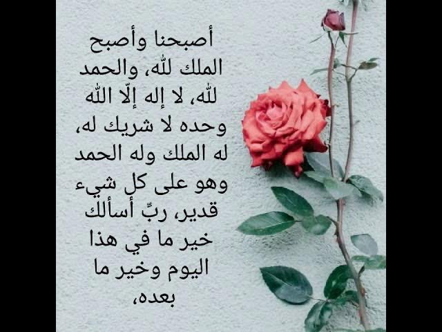 محمد عبدالله احمد الفالح ابو عبدالله (@mohammadalf2017) on Twitter photo 