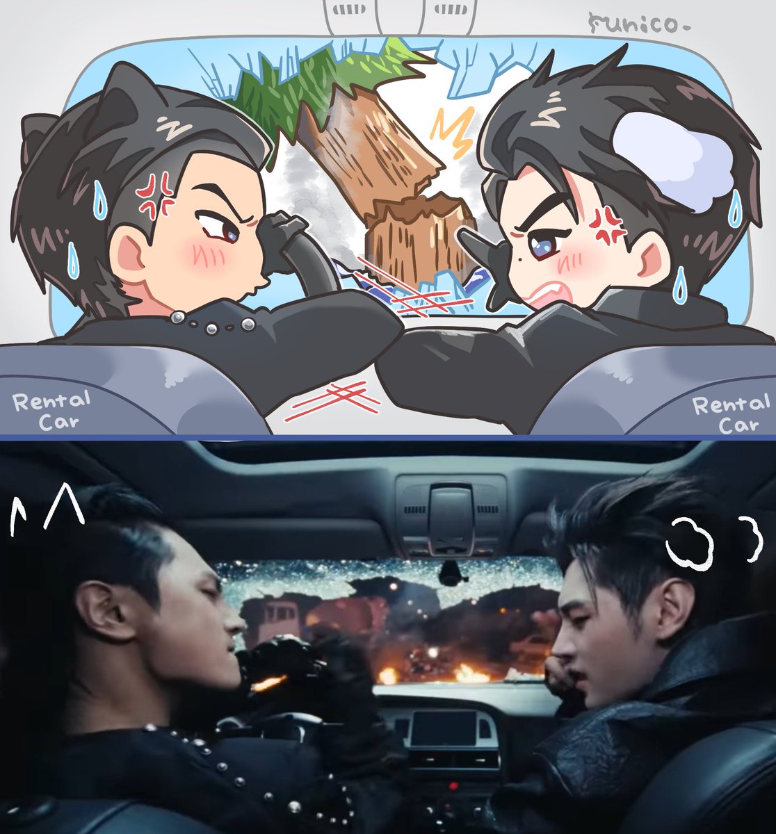 🌲💥🚗
🐈‍⬛💥🐶 #Jayhoon