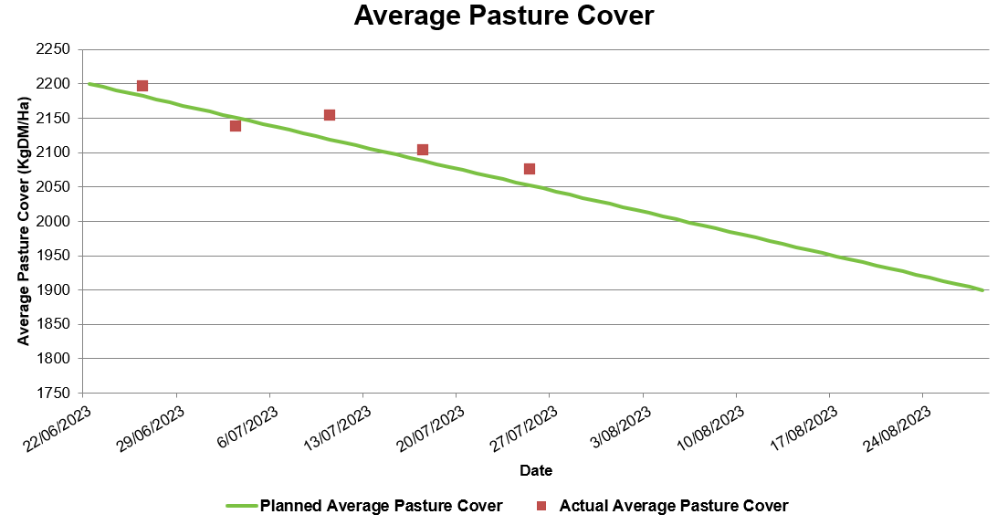 OwlFarmNZ tweet media