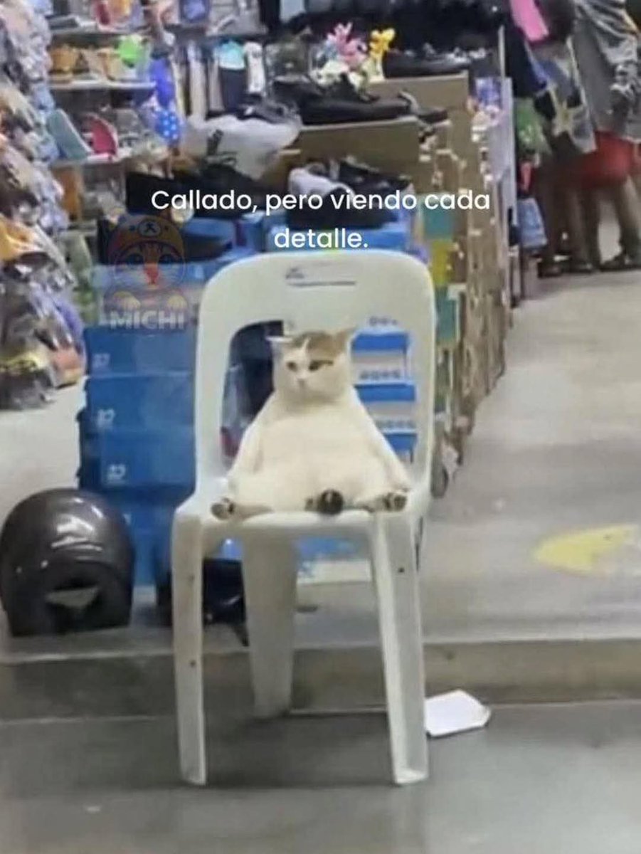 nxstypxet's tweet image. 