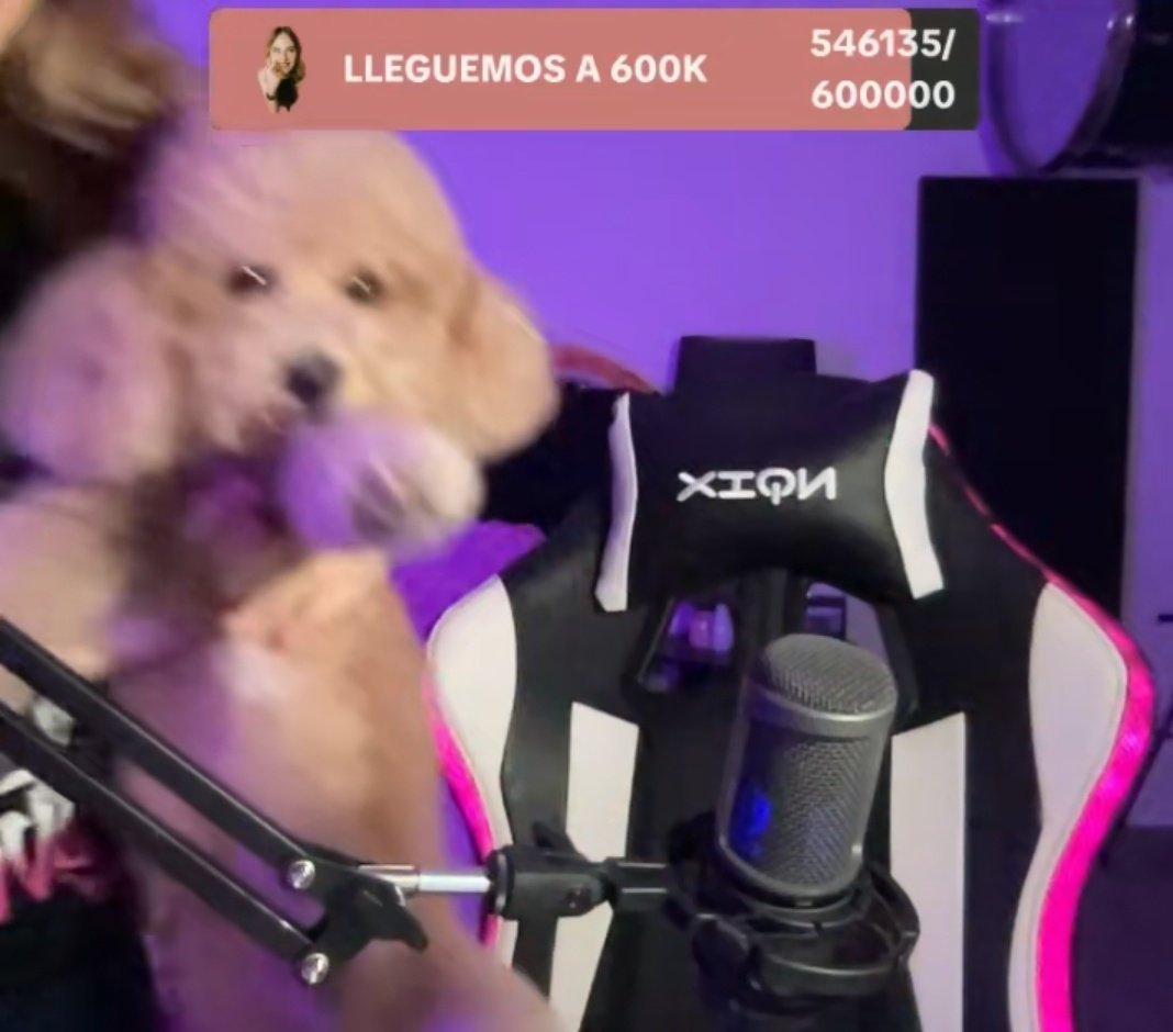 Magacha_JS's tweet image. Ganó, gracias al Lolito de la suerte q estuvo de pasada.