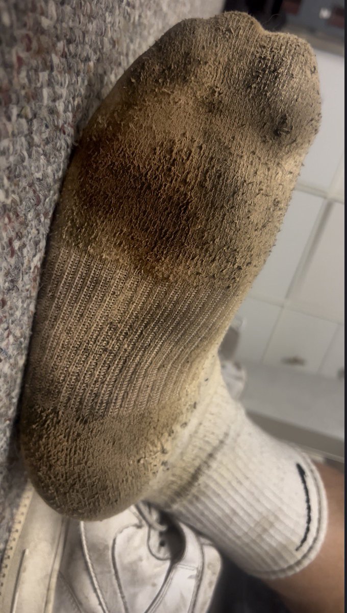 luca Rocco tweet media