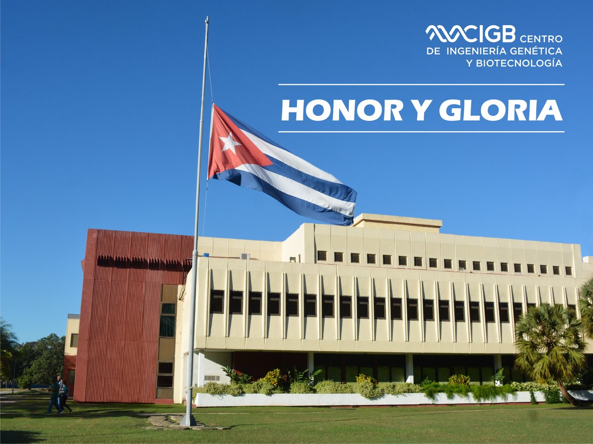 🇨🇺#Cuba recibe con dolor y orgullo a sus 32 hijos caídos. Cumplían misión en la hermana #Venezuela 🇻🇪 como integrantes de nuestras FAR y el MININT, y ofrendaron sus vidas ante un ataque del imperialismo yanqui. Cada bandera a media asta, cada flor, es un grito de ¡HONOR Y GLORIA!