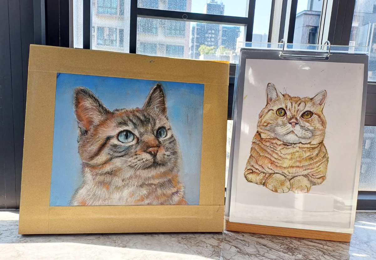 Tampuipui's tweet photo. #cat #drawing https://t.co/DP4WsO2AlM