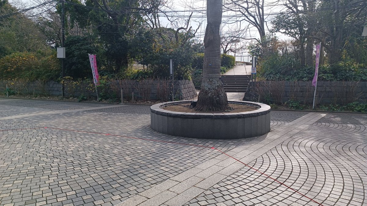 一応準備はしましたが
今日は無理かもしれません