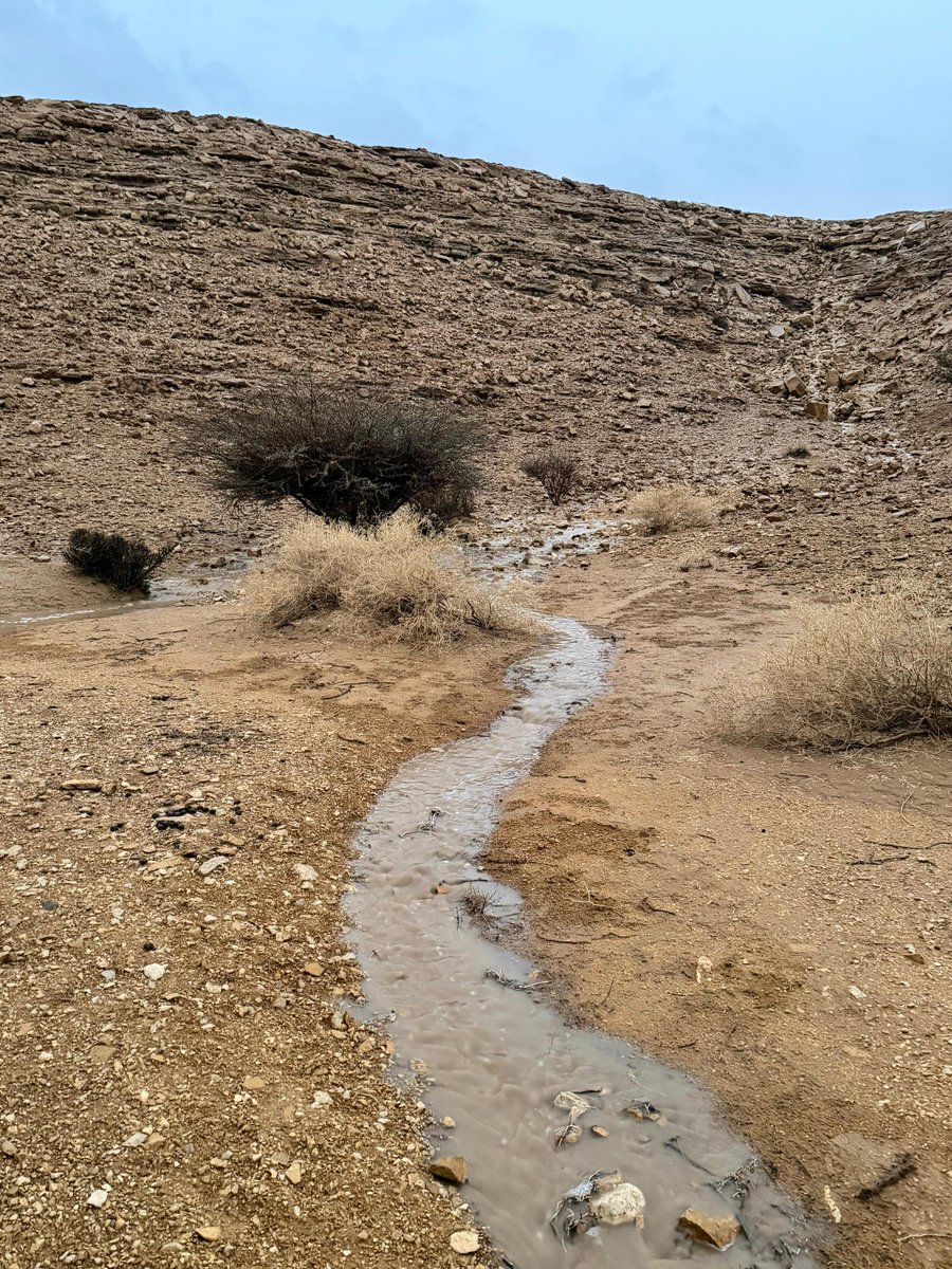 hareqnews's tweet photo. #محافظة_الحريق اليوم الخميس؛ غير ،غيوم وأمطار  🌧️🌩️⛈️ وخيرات ومهرجان🍊🍊🍋 🍋🍓🍓 ☔☔،،
أخبار الخير الان ،،بداية تساقط الأمطار على وسط المحافظة، مطر متوسط وبعض الجبال تصب على خفيف بعد #سد_الحريق، أخبار أمطار الخير تتوالى ،،امطار شبه غزيرة على مدينة الرياض والمزاحمية والقويعية،،،طريق الحائر- حوطة بني تميم- الحريق - وصلة نعام، غيوم وأمطار وأجواء رائعة.
فيما يبدوا سنشهد ختامية مميزة للزوار #مهرجان_الحمضيات_العاشر_بالحريق. 

نشير الى أن يوم غدا الجمعة هو آخر أيام المهرجان، والمتوقع اليوم وغدا أن تسجل #محافظة_الحريق ،أعلى معدل حضور زوار لها منذ إنطلاق مهرجان الحمضيات السنوي..

انتظرو المزيد من الأخبار والتقارير لاحقا ،ونشر أن تفاصيل تستحق الذكر لاحقا،،،،
 صور ومقاطع للأمطار ،تصوير الإخوة الاعزاء/ سعود العثمان @ محمد الفضلي،  

@MEWA_KSA
@kauedu_sa
@agri_ext
@Almobdioon_KAU
@Cf10_2026

#ثمار_الحريق
#مهرجان_الحمضيات_العاشر_بالحريق 
#محافظة_الحريق